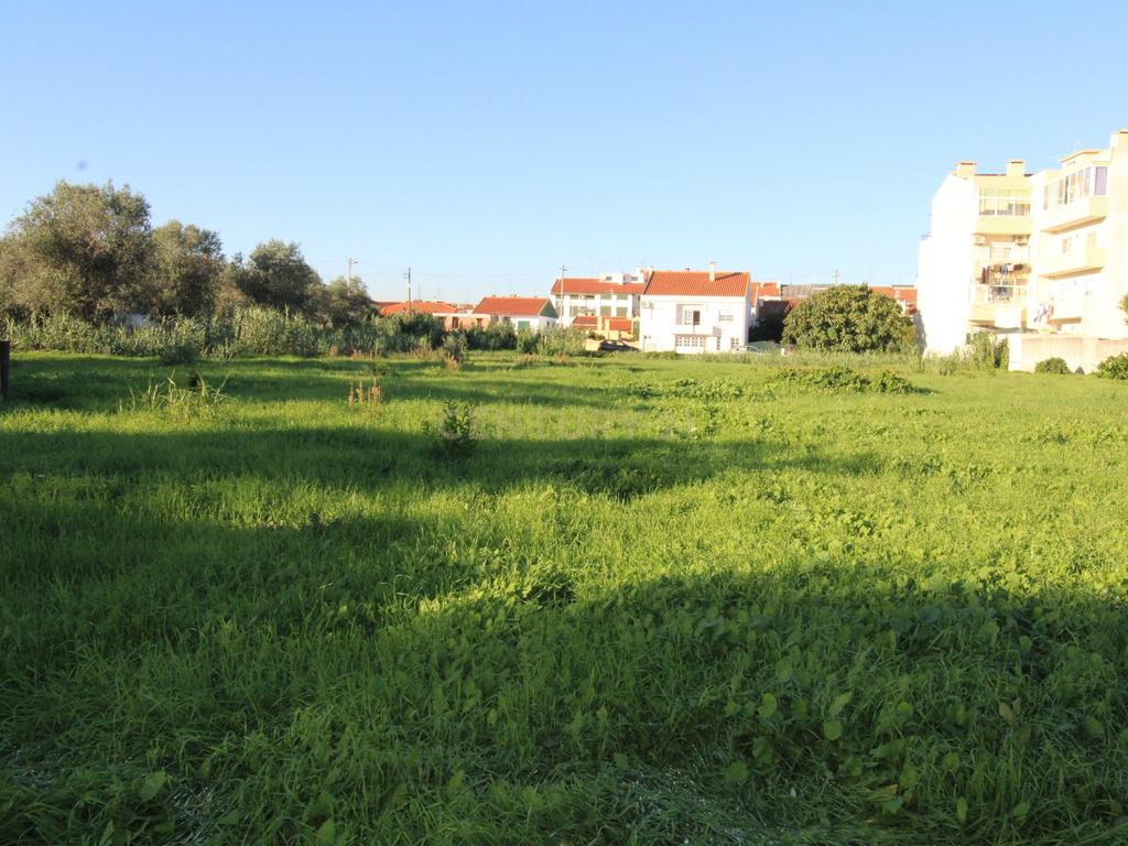 Terreno Urbano à Venda no Entroncamento – 5640 m² - Image 6