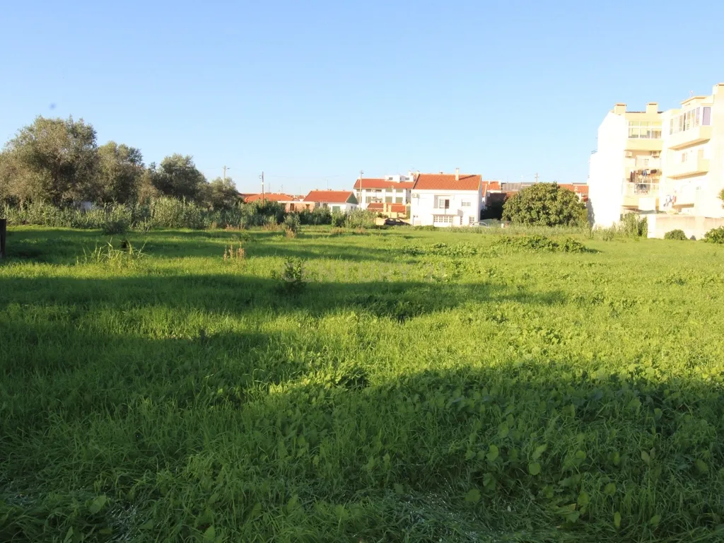 Terreno Urbano à Venda no Entroncamento – 5640 m² - Image 6