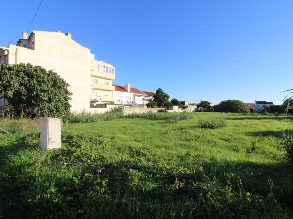 Terreno Urbano à Venda no Entroncamento – 5640 m² - Image 1