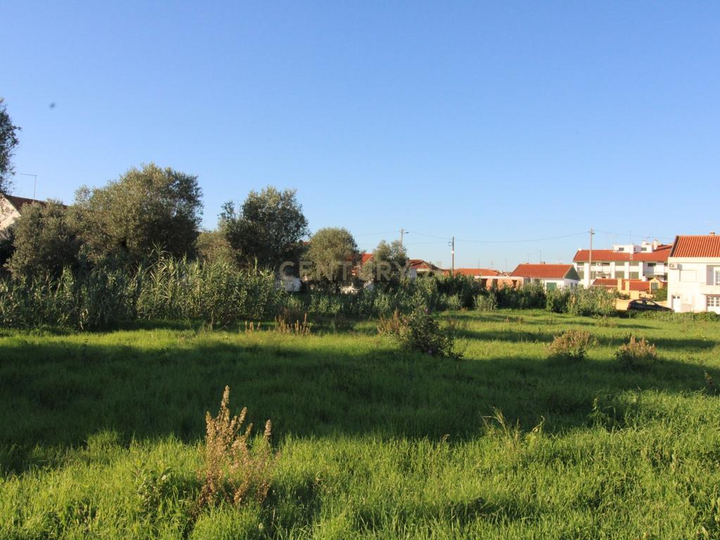 Terreno Urbano à Venda no Entroncamento – 5640 m² - Image 9