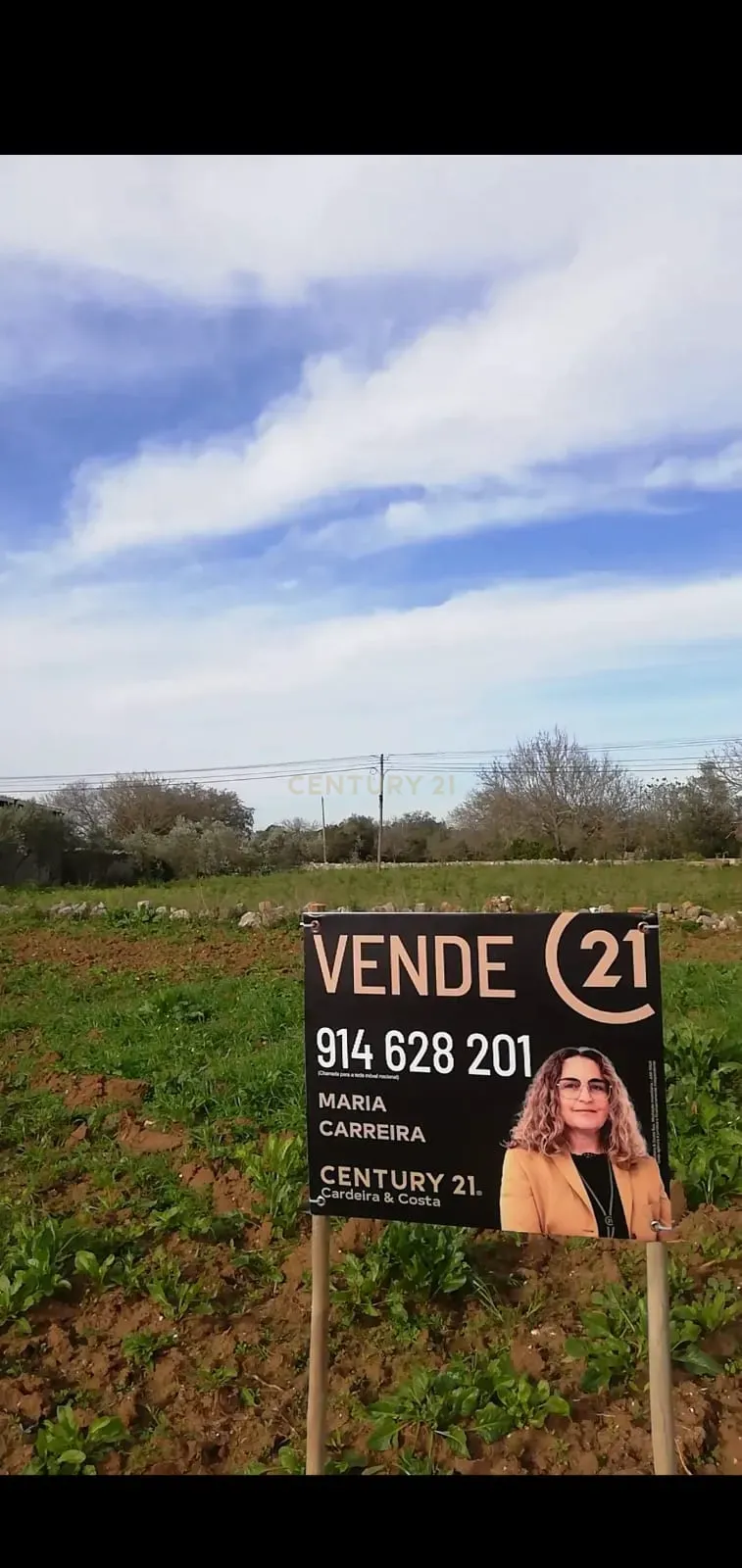 Terreno Urbano em Casais de Santa Teresa - Image 4