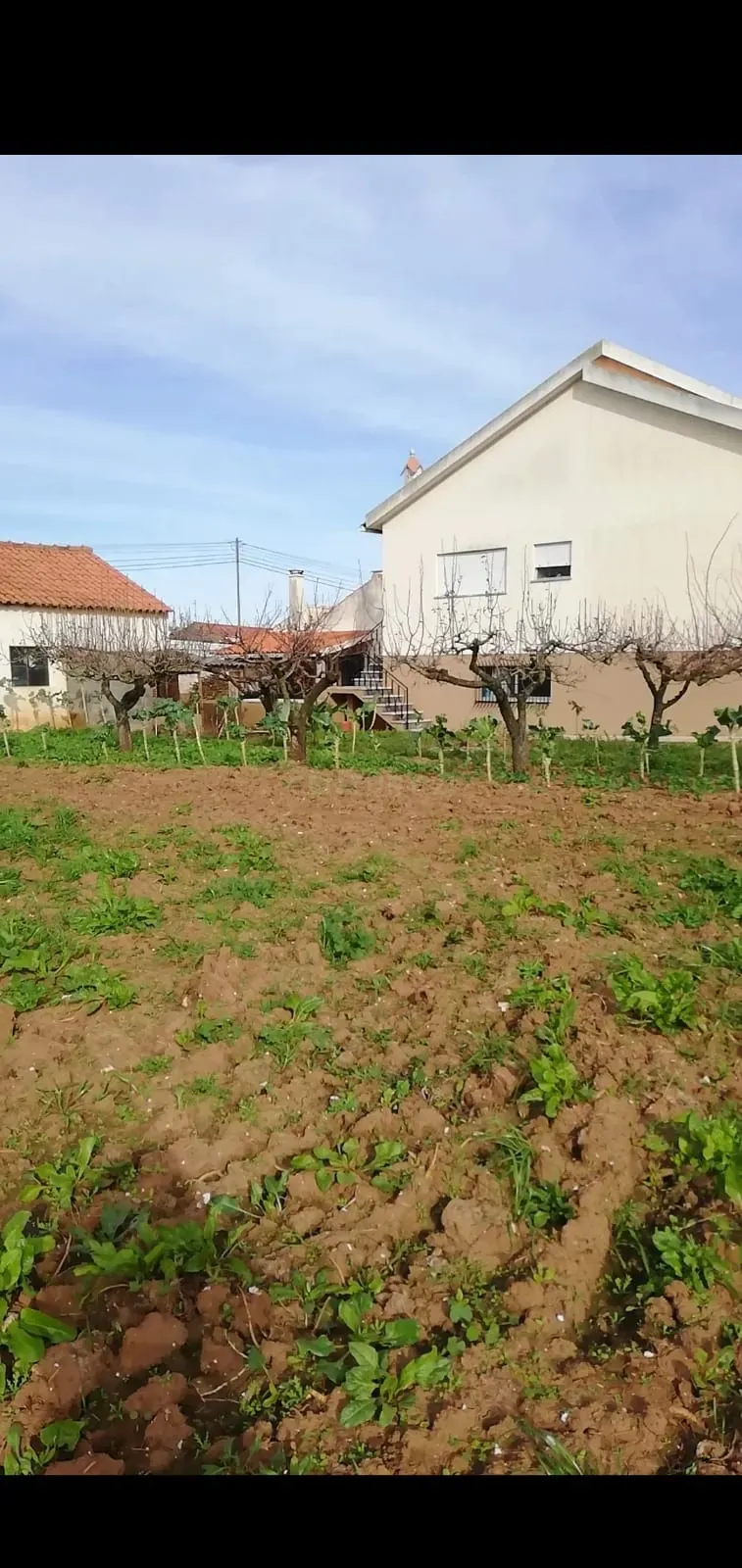 Terreno Urbano em Casais de Santa Teresa - Image 2