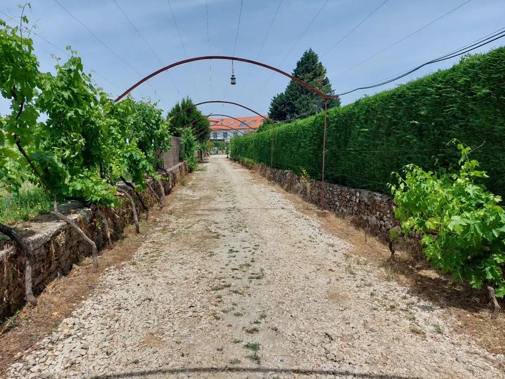 Histórico Solar do Sec. XVII ( Quinta da Capela) - Image 11
