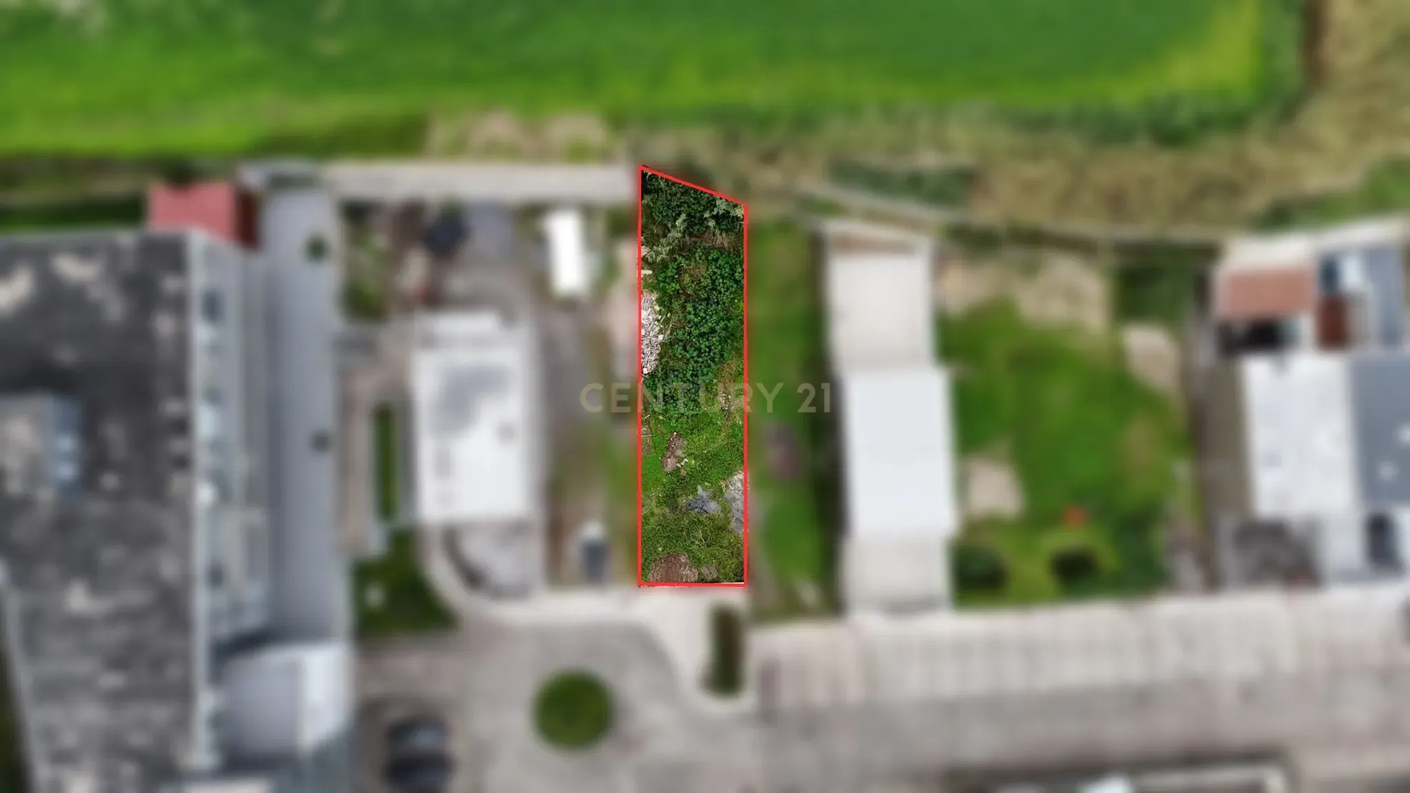 Lote Situado em Vila Franca do Campo - Image 4