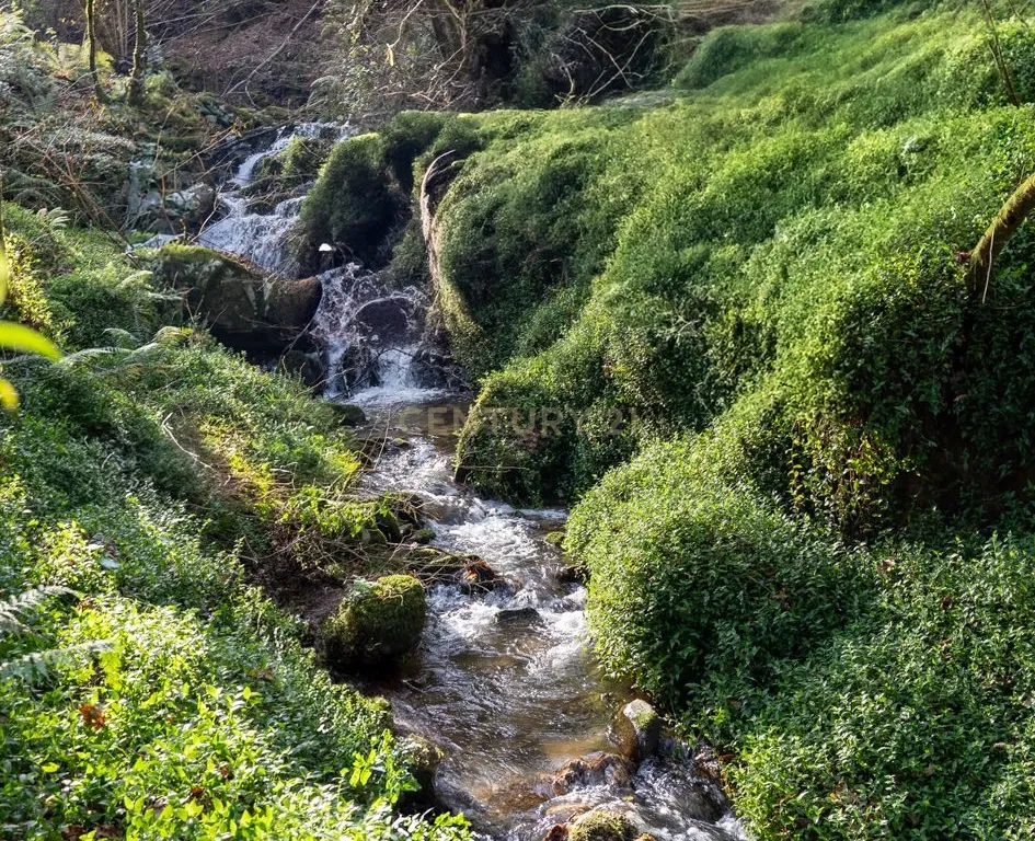 Quinta Exclusiva, rodeada de natureza e com vistas fantásticas sobre o Rio Douro - Image 16