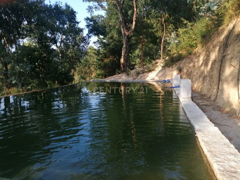 Quinta Exclusiva, rodeada de natureza e com vistas fantásticas sobre o Rio Douro - Image 24