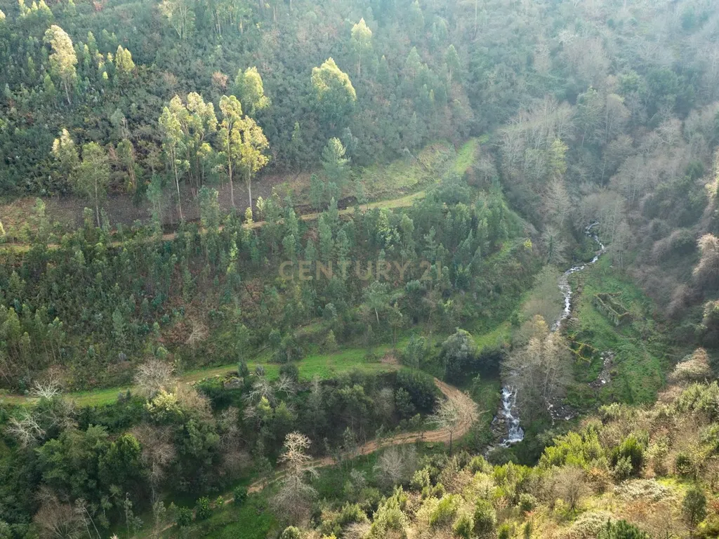 Quinta Exclusiva, rodeada de natureza e com vistas fantásticas sobre o Rio Douro - Image 9