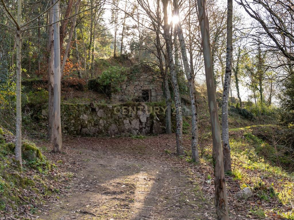 Quinta Exclusiva, rodeada de natureza e com vistas fantásticas sobre o Rio Douro - Image 10