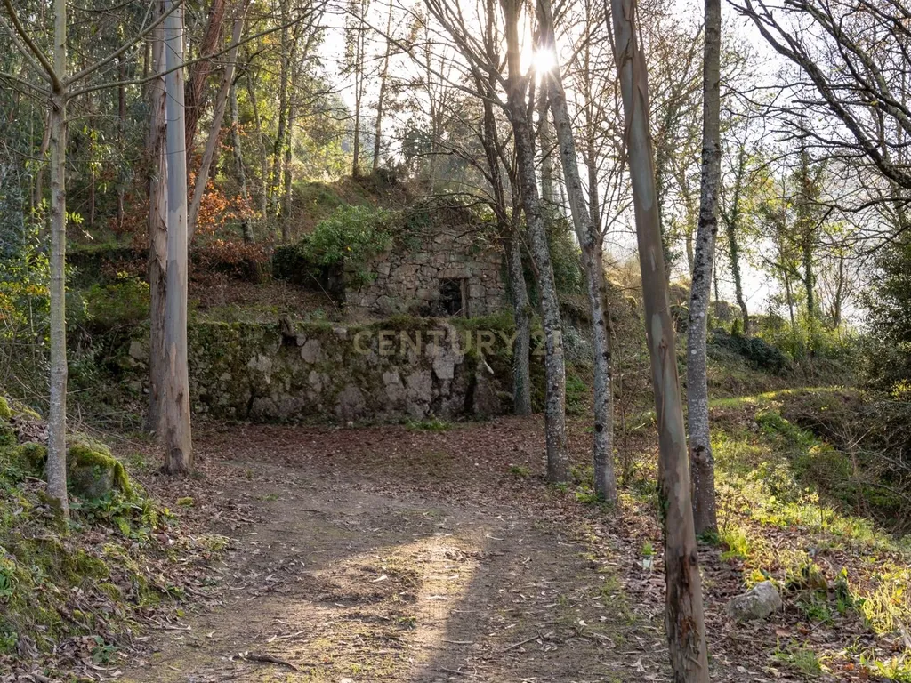 Quinta Exclusiva, rodeada de natureza e com vistas fantásticas sobre o Rio Douro - Image 10