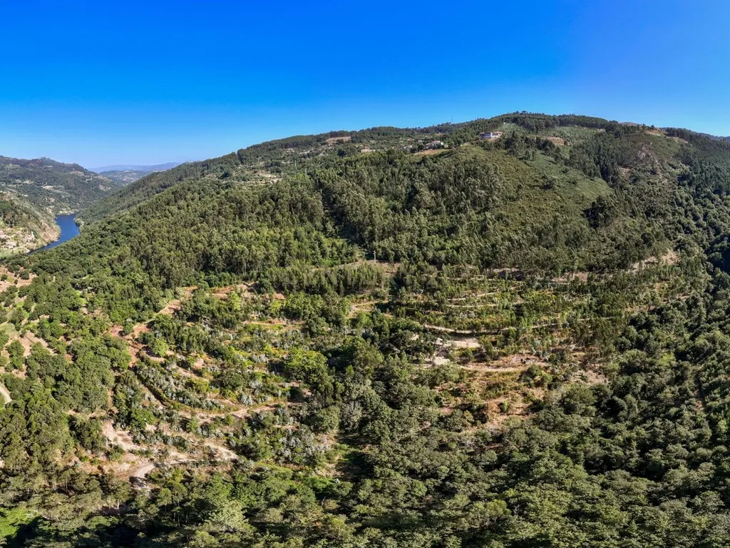 Quinta Exclusiva, rodeada de natureza e com vistas fantásticas sobre o Rio Douro - Image 14