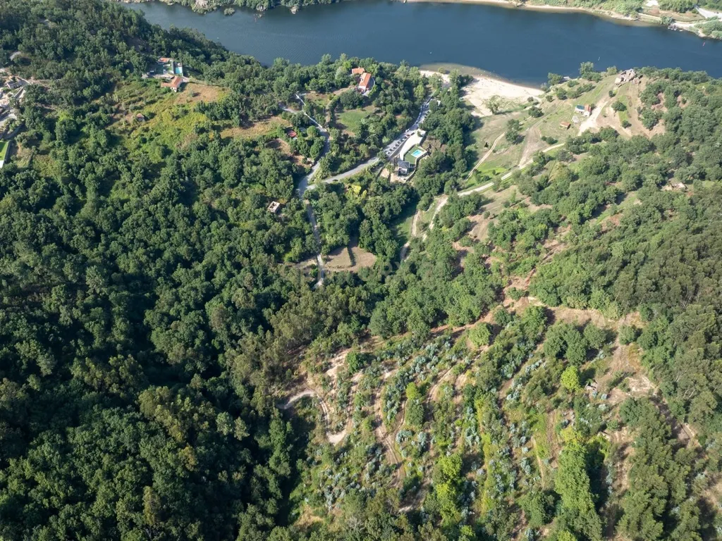 Quinta Exclusiva, rodeada de natureza e com vistas fantásticas sobre o Rio Douro - Image 11