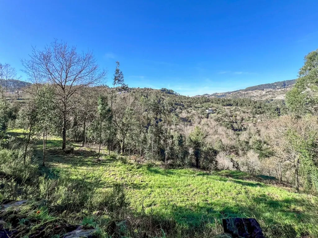 Quinta Exclusiva, rodeada de natureza e com vistas fantásticas sobre o Rio Douro - Image 13