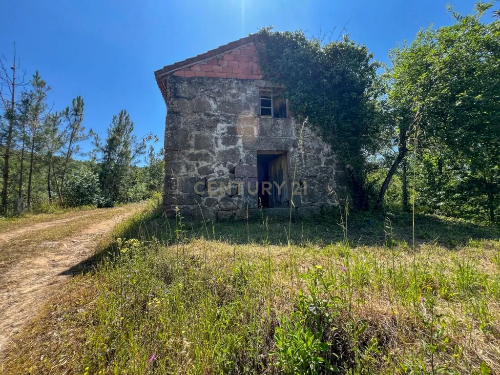 Quinta rodeada de natureza e com vistas fantásticas sobre o Rio Douro - Image 3
