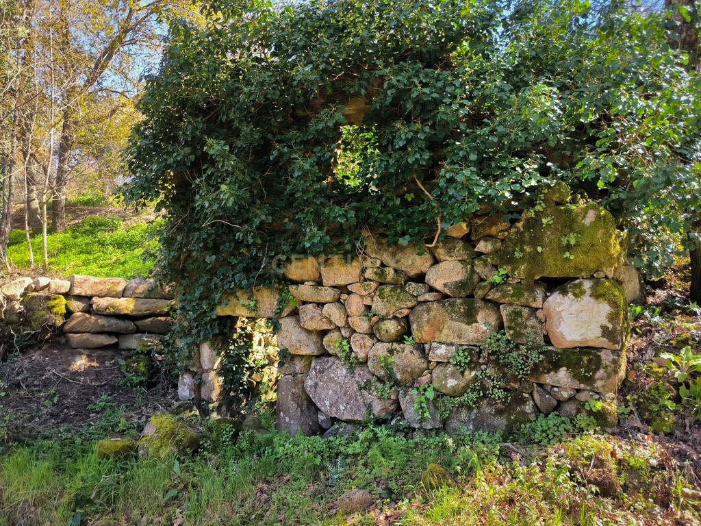 Quinta rodeada de natureza e com vistas fantásticas sobre o Rio Douro - Image 20