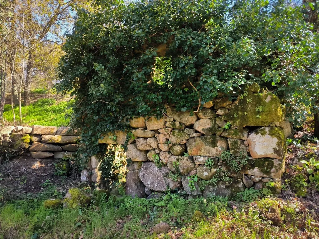 Quinta rodeada de natureza e com vistas fantásticas sobre o Rio Douro - Image 20