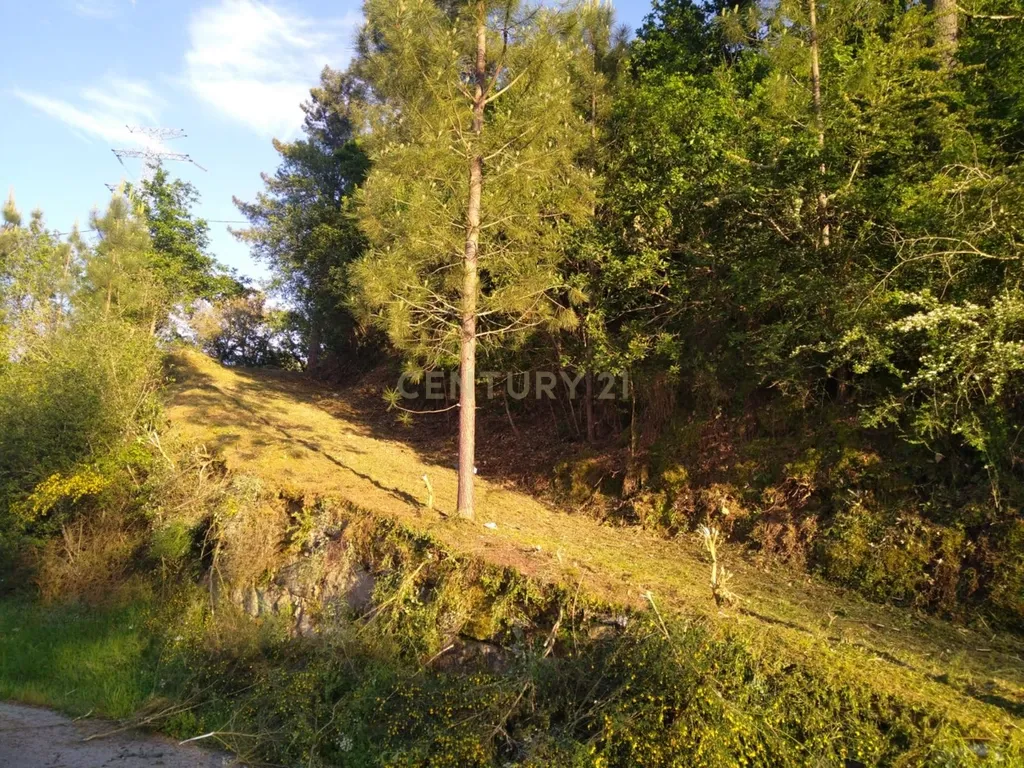Quinta rodeada de natureza e com vistas fantásticas sobre o Rio Douro - Image 13