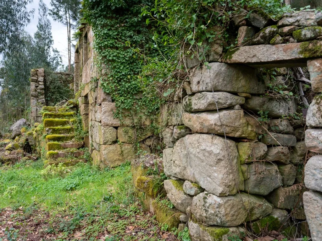 Quinta Exclusiva, rodeada de natureza e com vistas fantásticas sobre o Rio Douro - Image 23