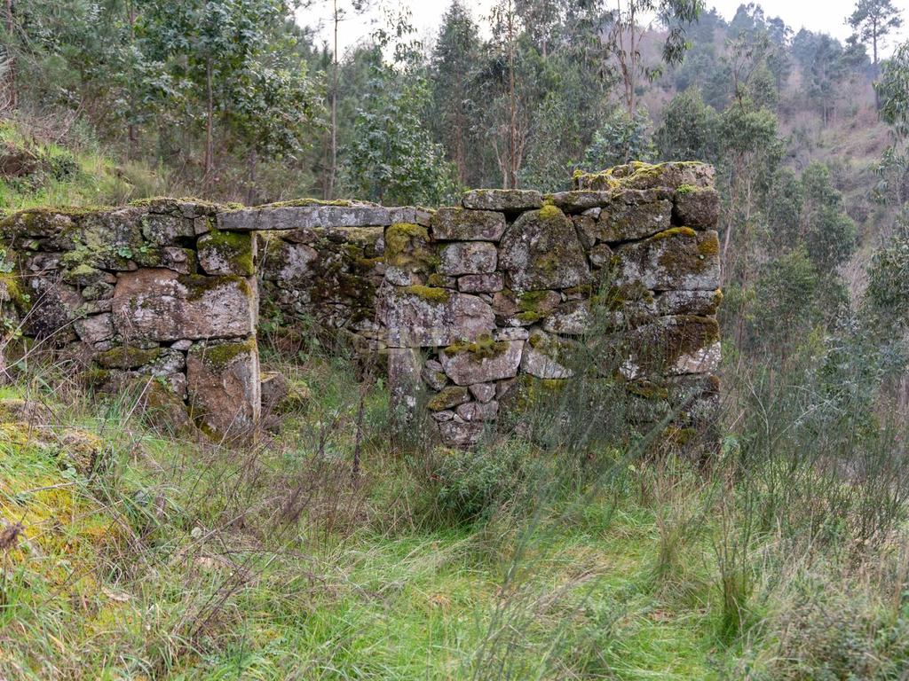 Quinta Exclusiva, rodeada de natureza e com vistas fantásticas sobre o Rio Douro - Image 20