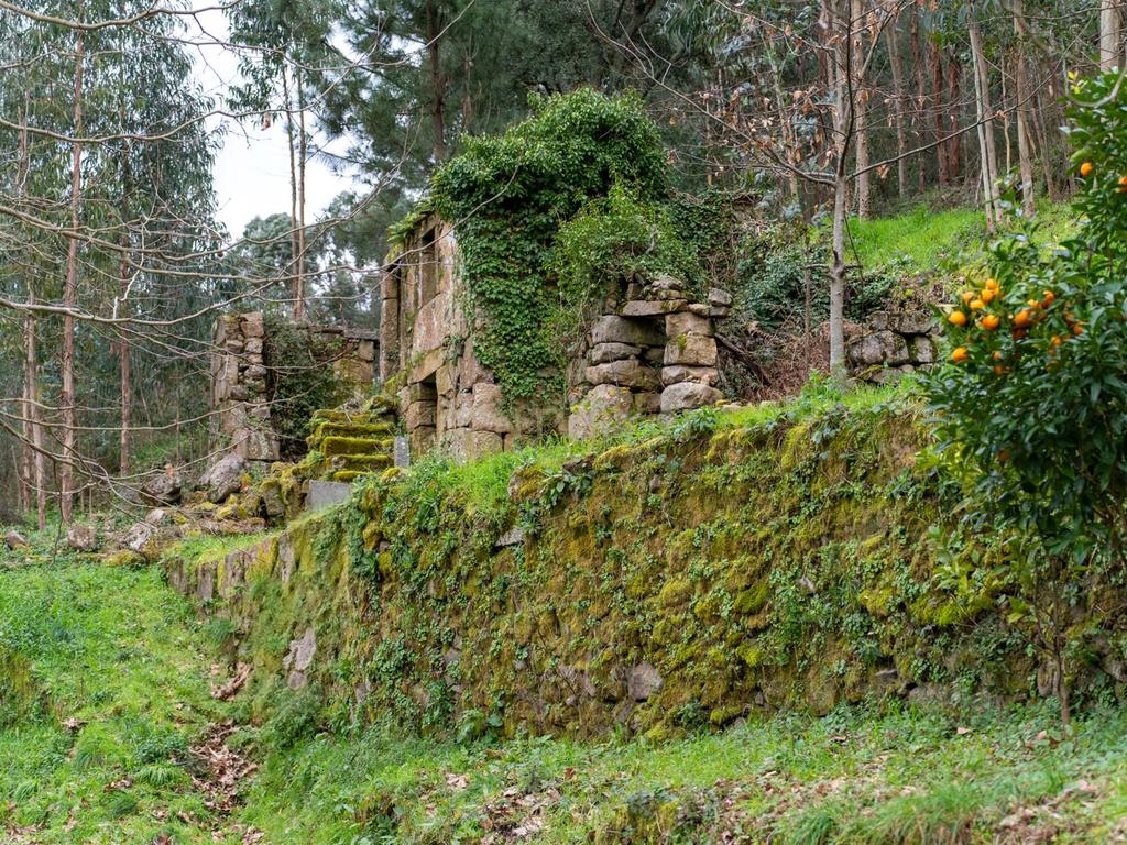 Quinta Exclusiva, rodeada de natureza e com vistas fantásticas sobre o Rio Douro - Image 1