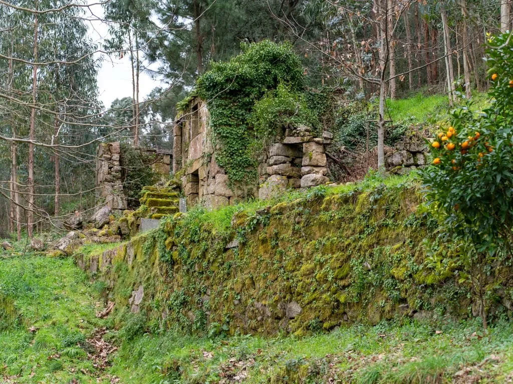 Quinta Exclusiva, rodeada de natureza e com vistas fantásticas sobre o Rio Douro - Image 1
