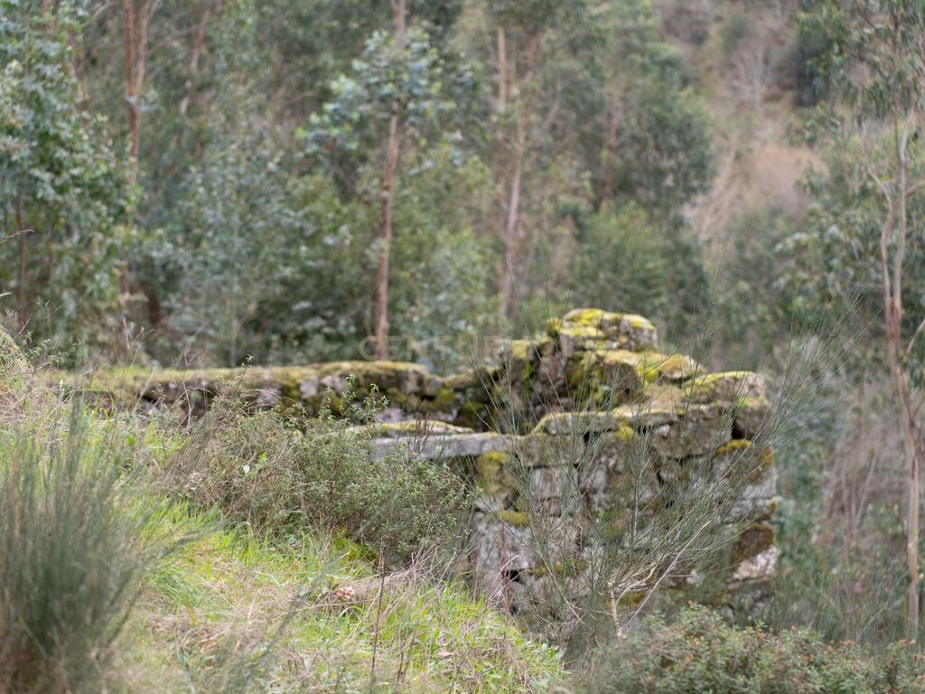 Quinta Exclusiva, rodeada de natureza e com vistas fantásticas sobre o Rio Douro - Image 25