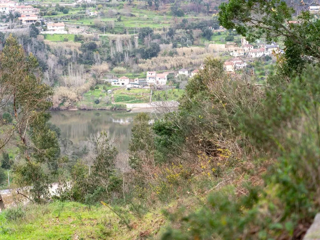 Quinta Exclusiva, rodeada de natureza e com vistas fantásticas sobre o Rio Douro - Image 21