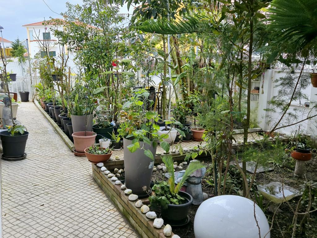 Moradia T5 de Luxo em Mafra - Image 3