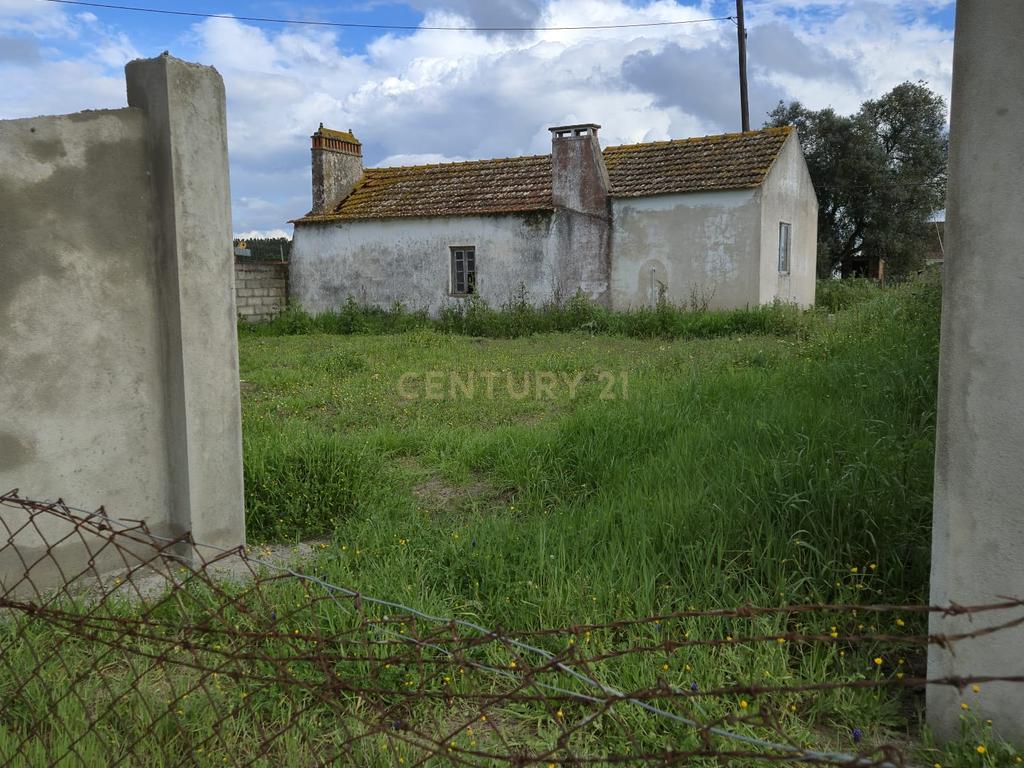 Lote com 2 Moradias inseridas num terreno de  10.000m²  - Image 8