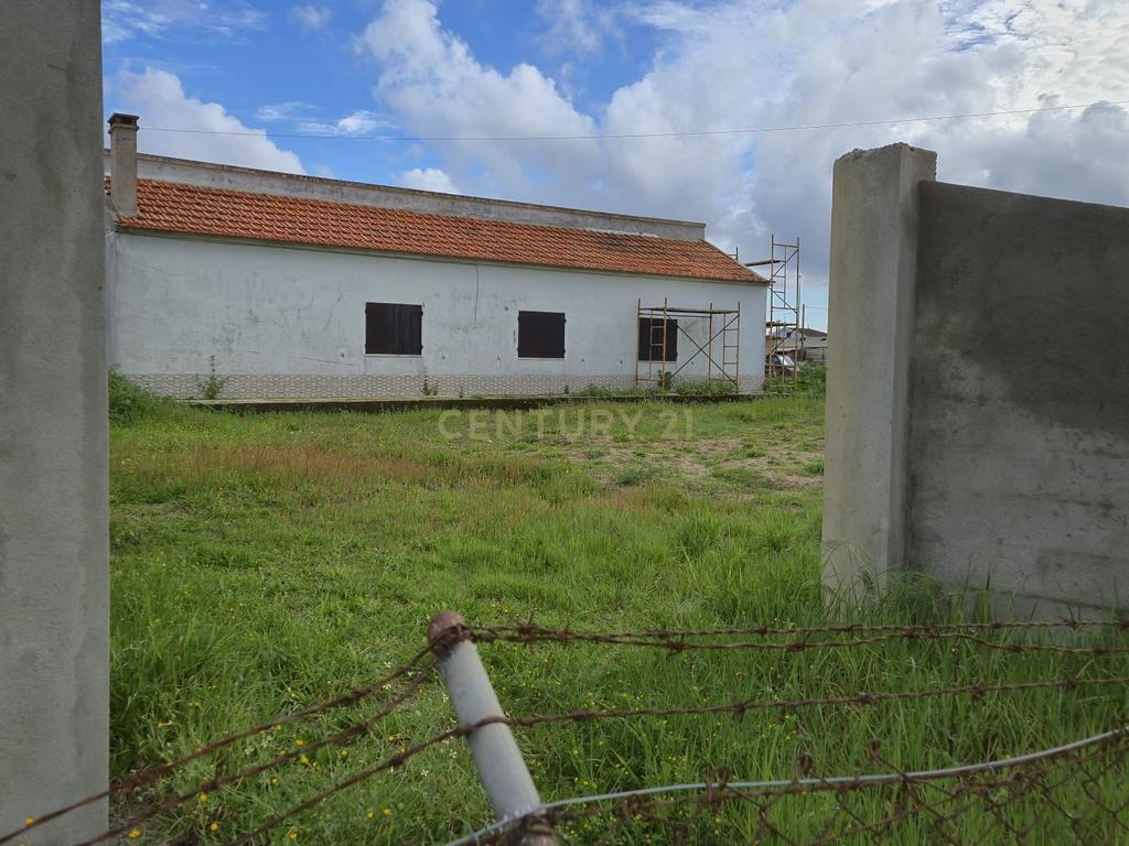 Lote com 2 Moradias inseridas num terreno de  10.000m²  - Image 7