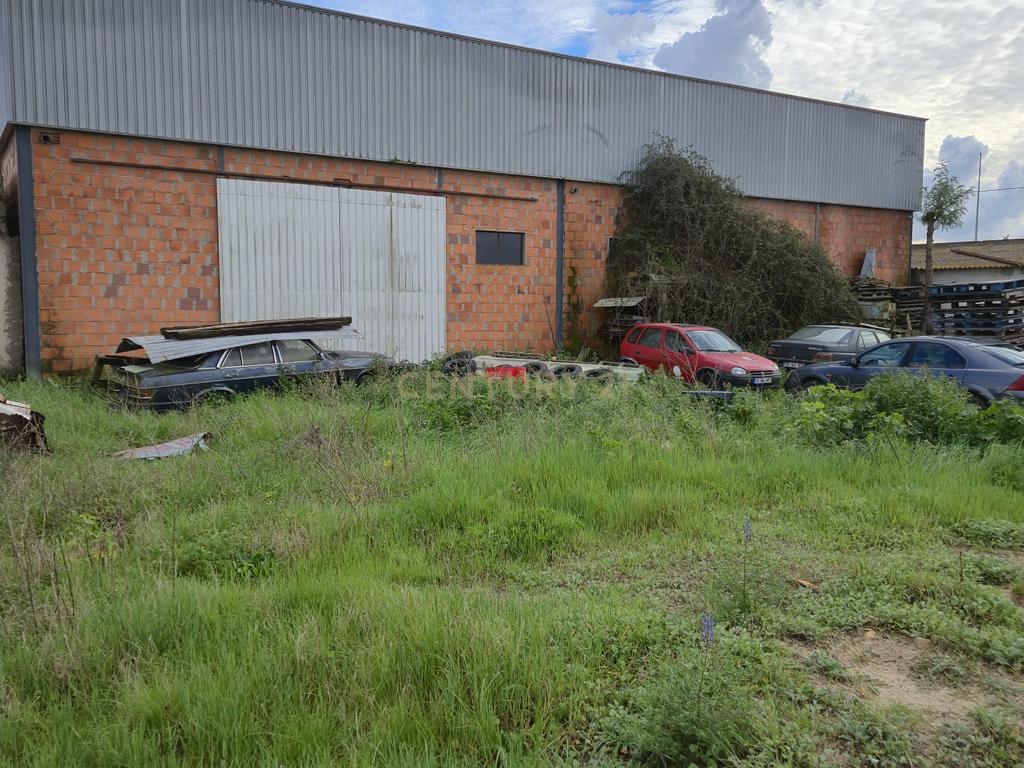 Lote com 2 Moradias inseridas num terreno de  10.000m²  - Image 13