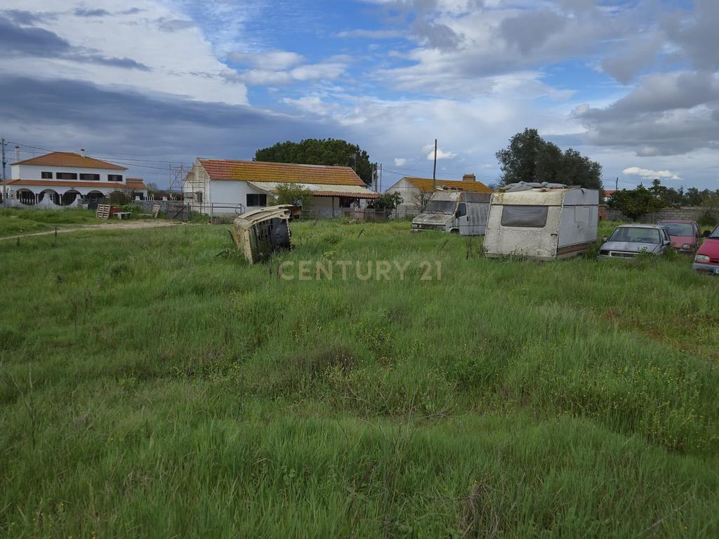 Lote com 2 Moradias inseridas num terreno de  10.000m²  - Image 4