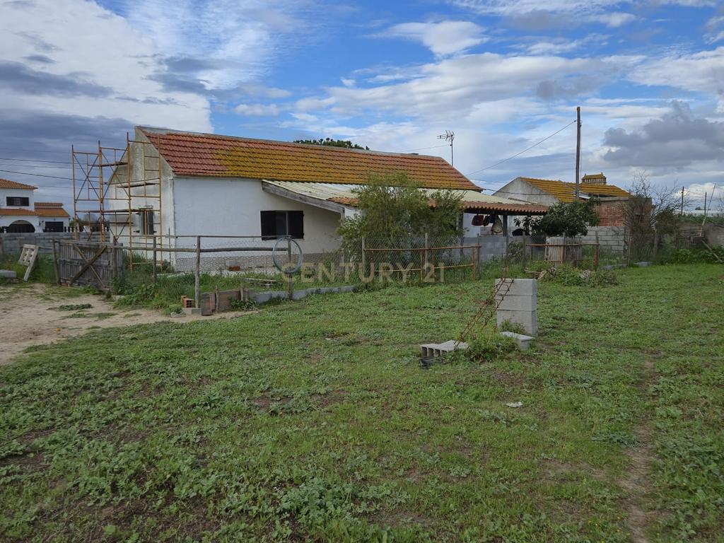 Lote com 2 Moradias inseridas num terreno de  10.000m²  - Image 9