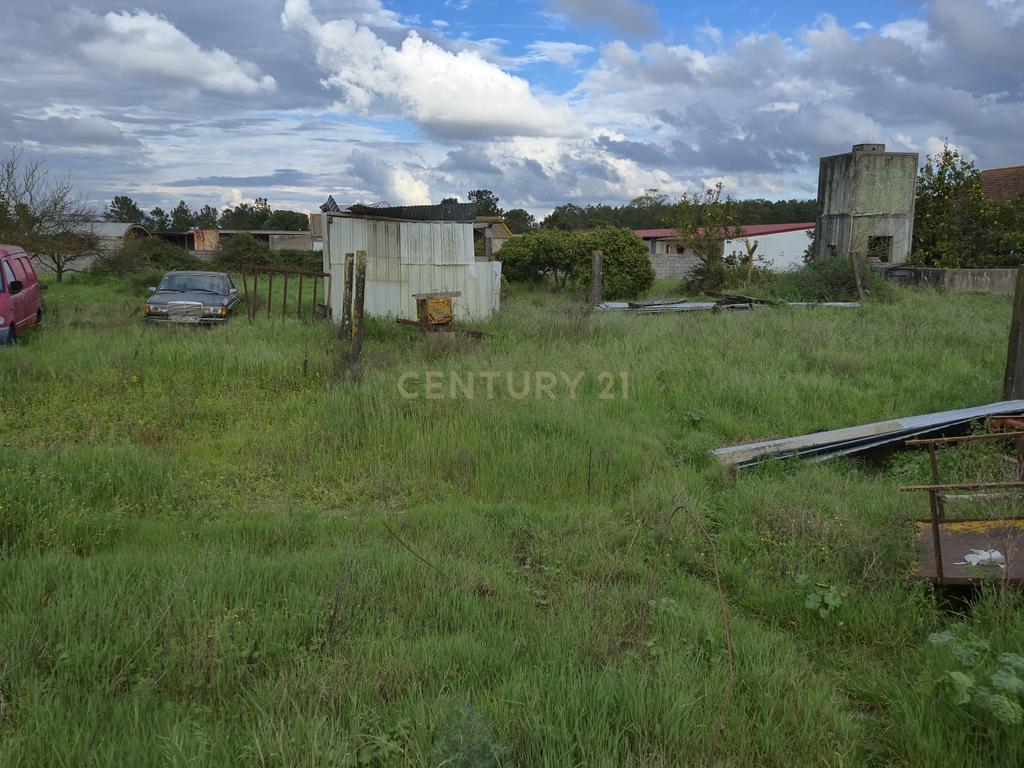 Lote com 2 Moradias inseridas num terreno de  10.000m²  - Image 2