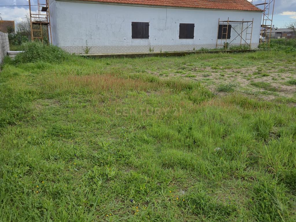 Lote com 2 Moradias inseridas num terreno de  10.000m²  - Image 6