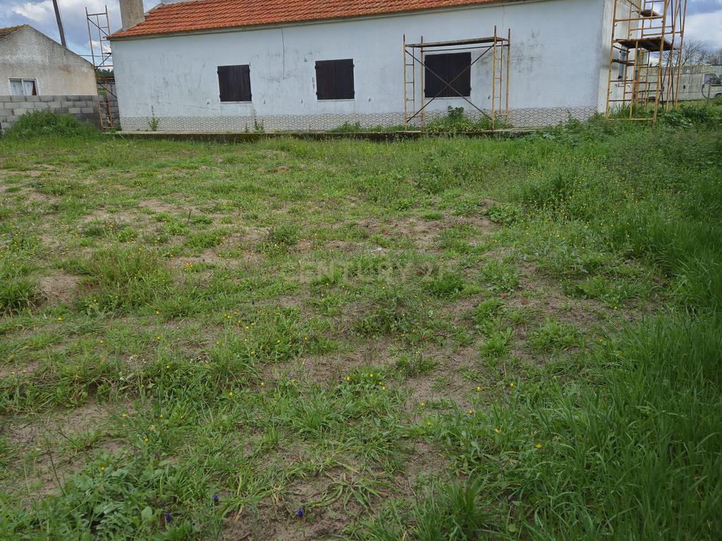 Lote com 2 Moradias inseridas num terreno de  10.000m²  - Image 5