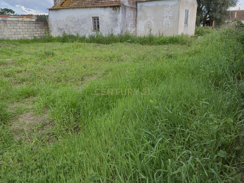 Lote com 2 Moradias inseridas num terreno de  10.000m²  - Image 11