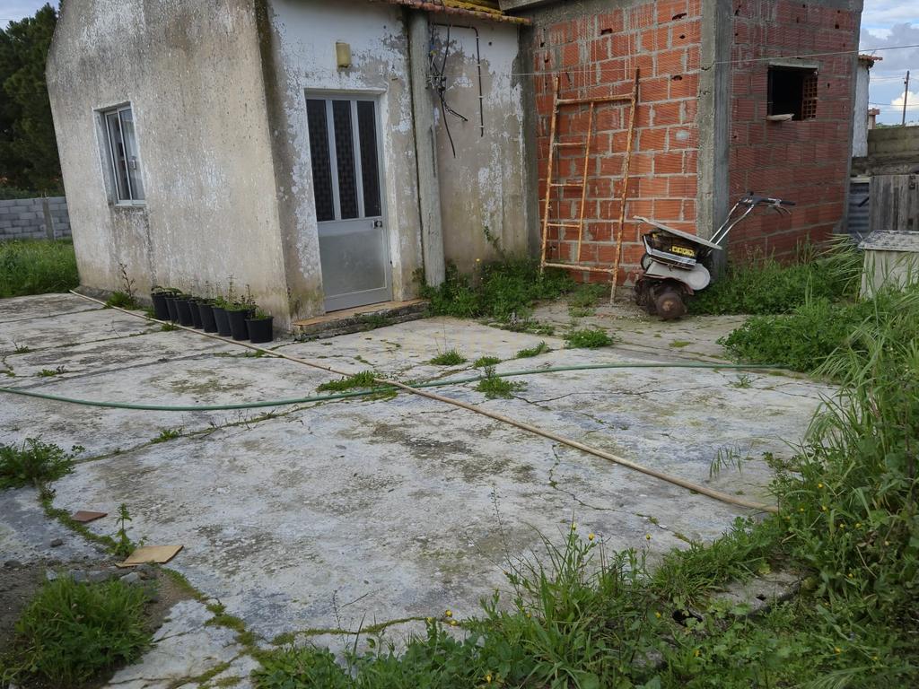Lote com 2 Moradias inseridas num terreno de  10.000m²  - Image 12