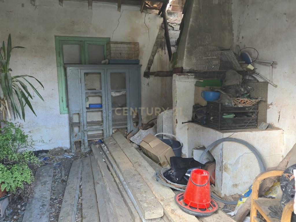 Lote com 2 Moradias inseridas num terreno de  10.000m²  - Image 17