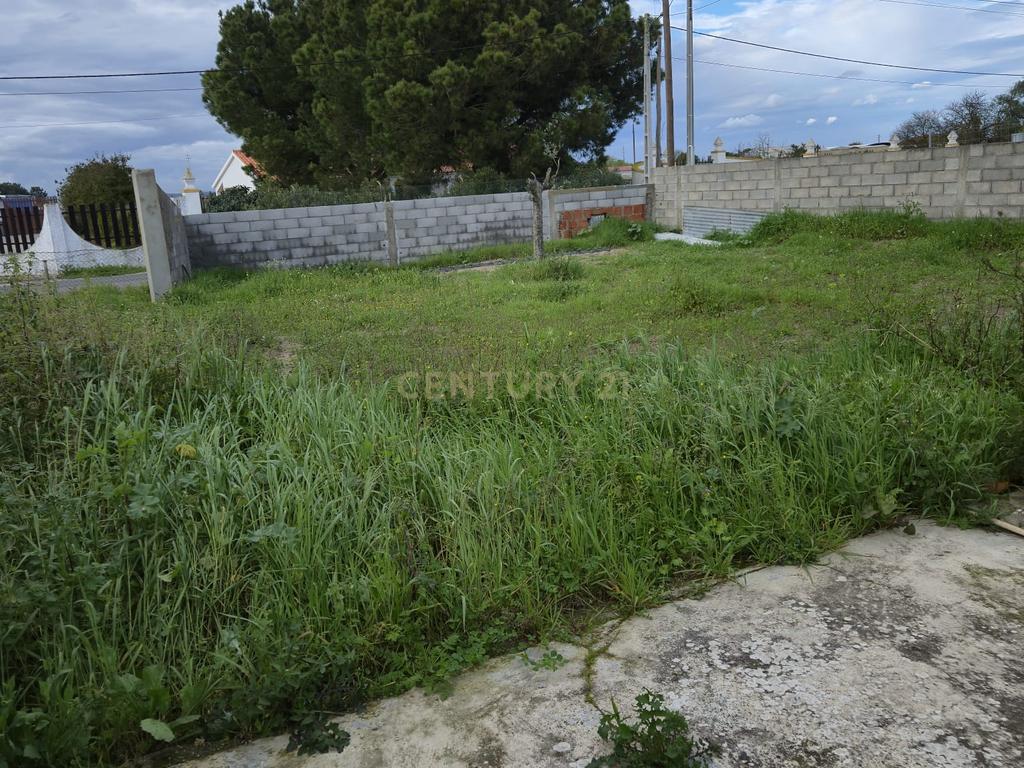 Lote com 2 Moradias inseridas num terreno de  10.000m²  - Image 21