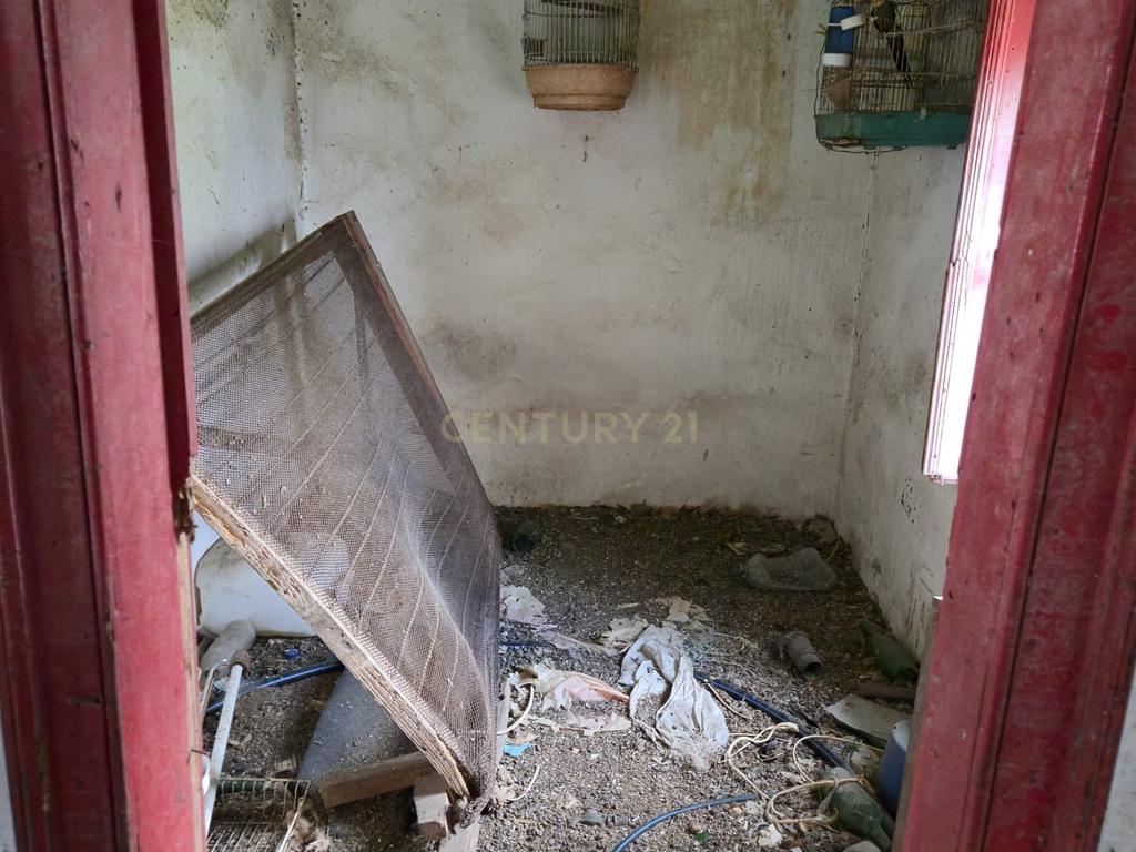 Lote com 2 Moradias inseridas num terreno de  10.000m²  - Image 16