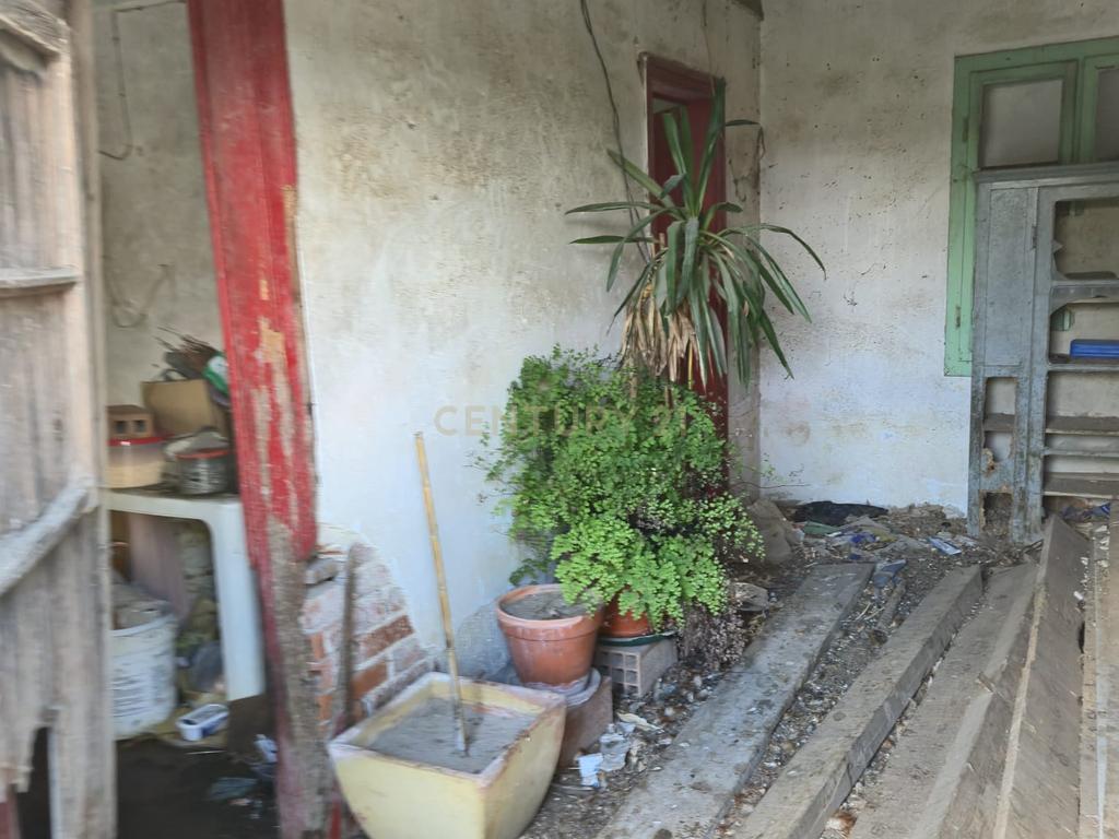 Lote com 2 Moradias inseridas num terreno de  10.000m²  - Image 18