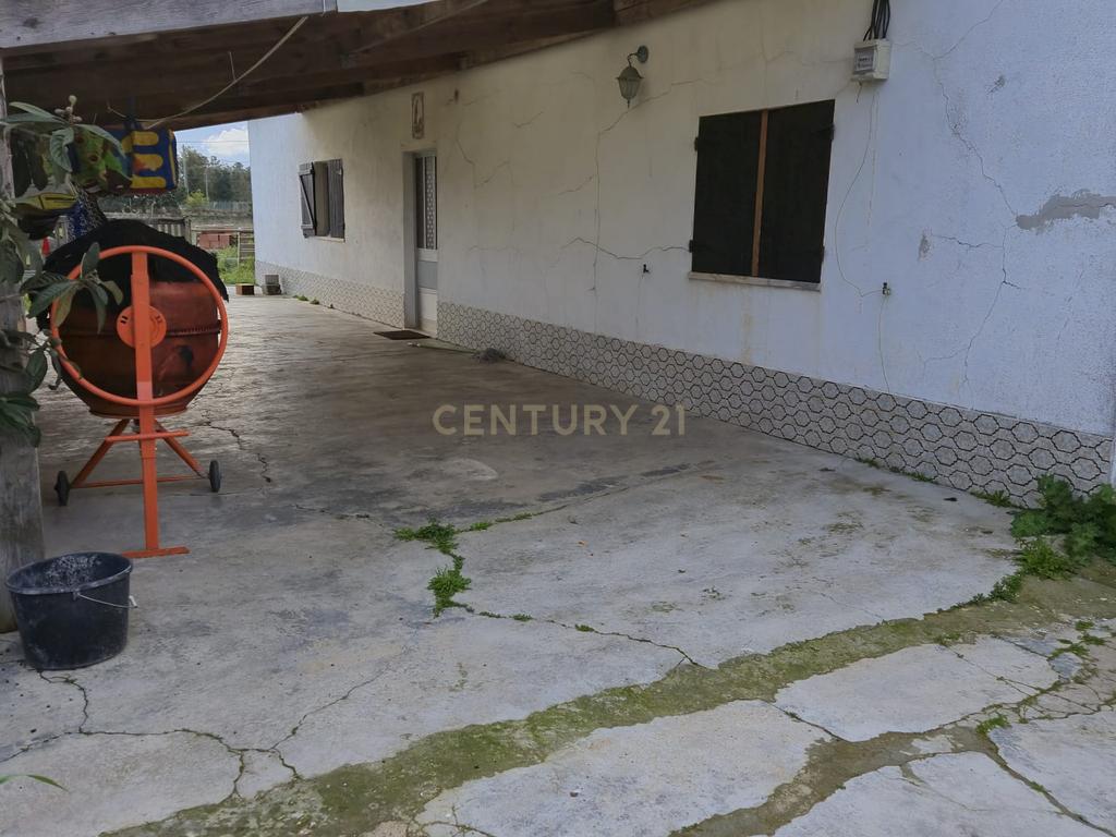 Lote com 2 Moradias inseridas num terreno de  10.000m²  - Image 10