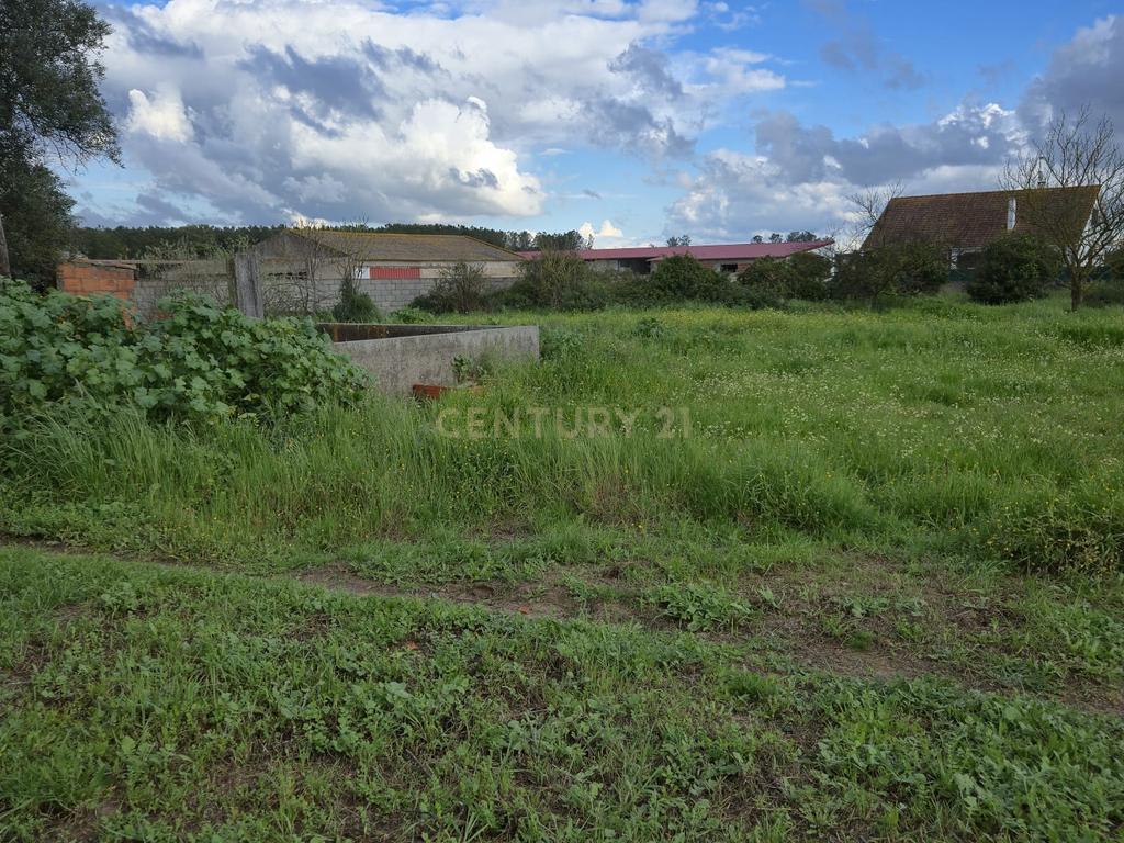 Lote com 2 Moradias inseridas num terreno de  10.000m²  - Image 22