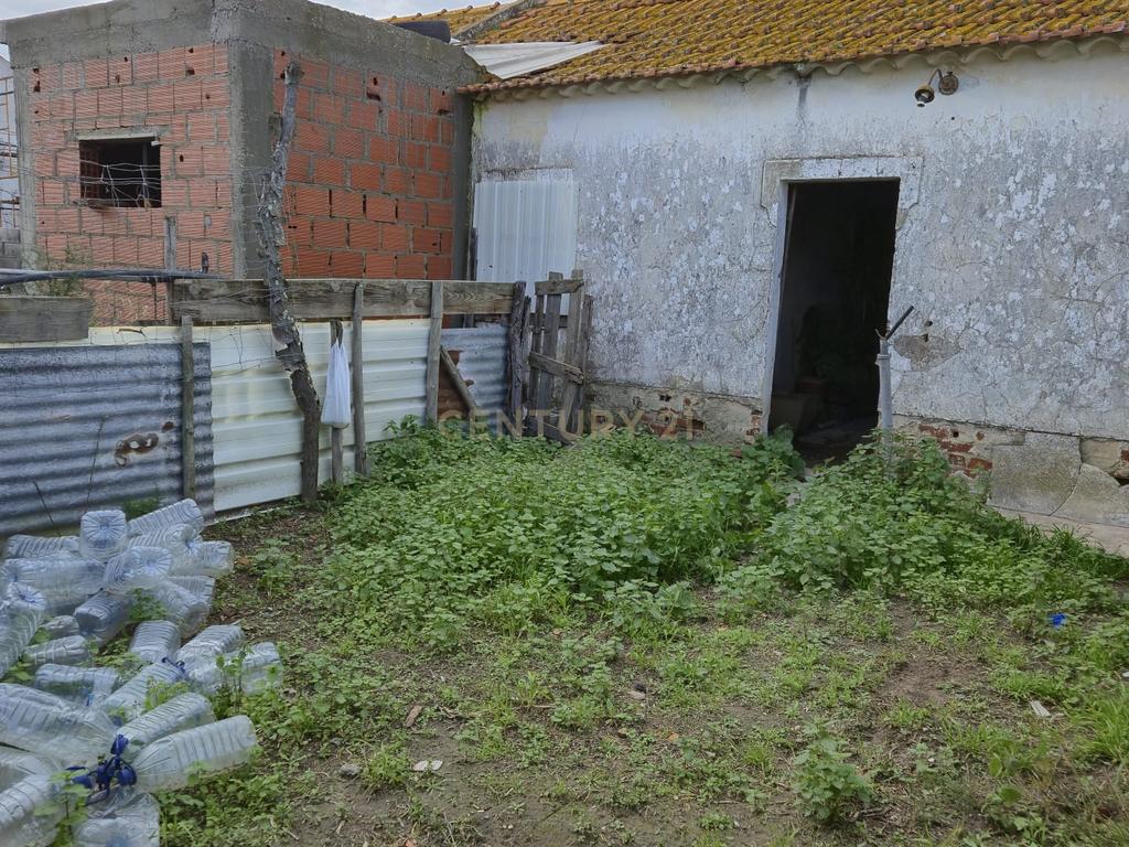 Lote com 2 Moradias inseridas num terreno de  10.000m²  - Image 14
