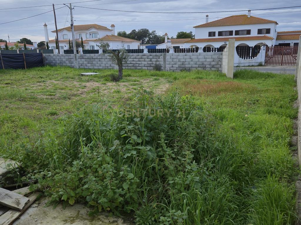 Lote com 2 Moradias inseridas num terreno de  10.000m²  - Image 27