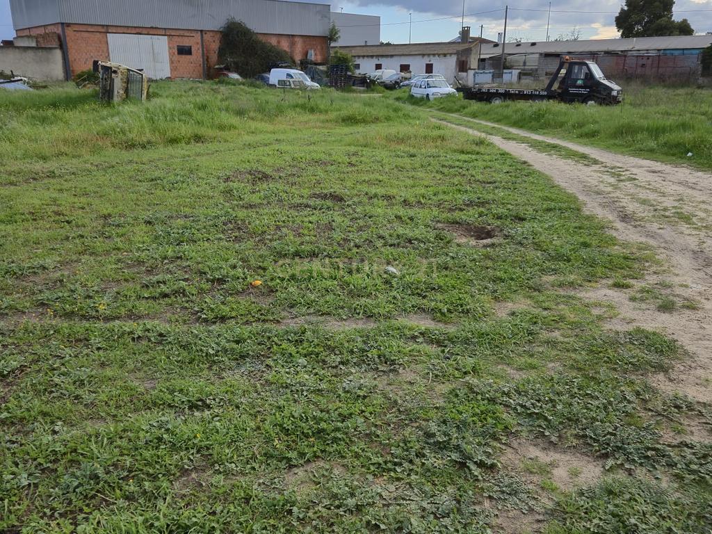 Lote com 2 Moradias inseridas num terreno de  10.000m²  - Image 23