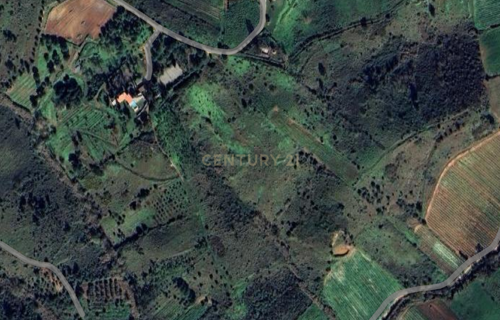 Terreno para venda em Alenquer - Image 5
