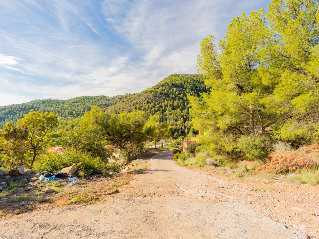 undefined - Image 14