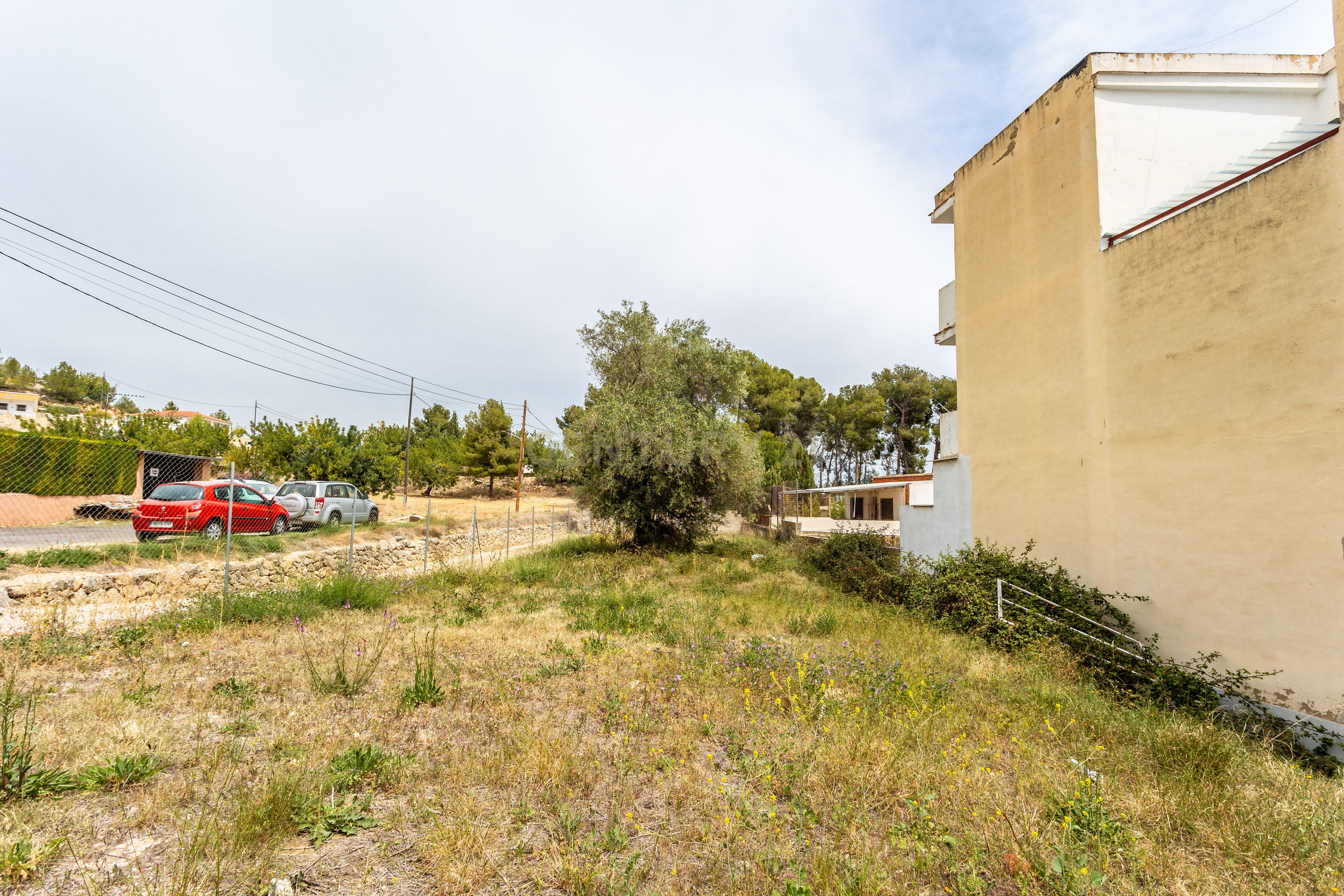 undefined - Image 4