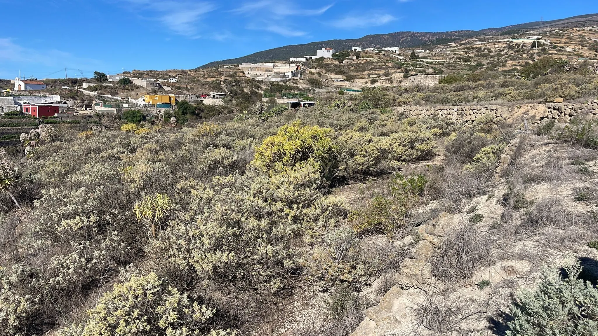 undefined - Image 18
